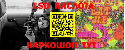 spice Свободный