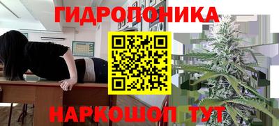 spice Свободный