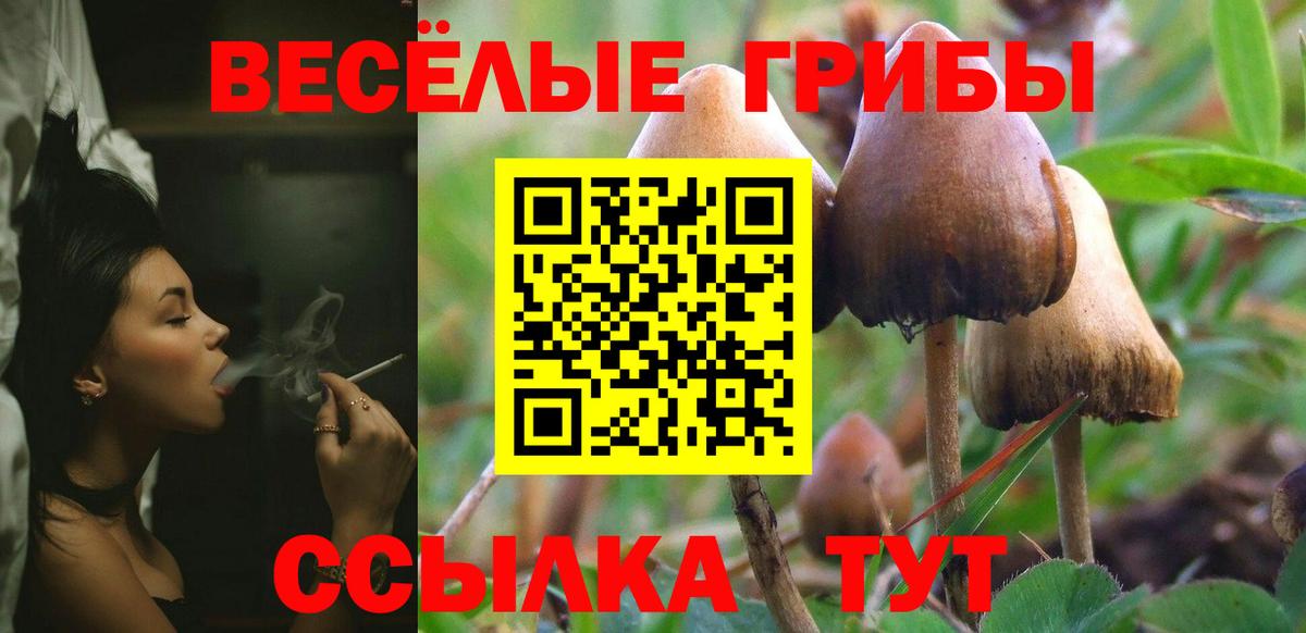 Троицк  Псилоцибиновые грибы GOLDEN TEACHER  Вход с VPN 